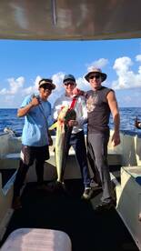 Mahi mahi 