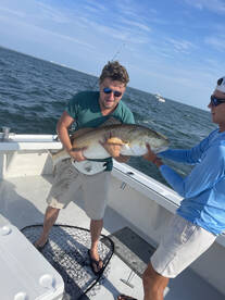 Virginia Beach Report Photo 1