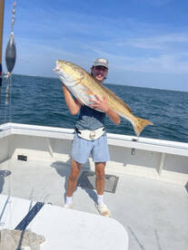 Great Drum and mackeral today