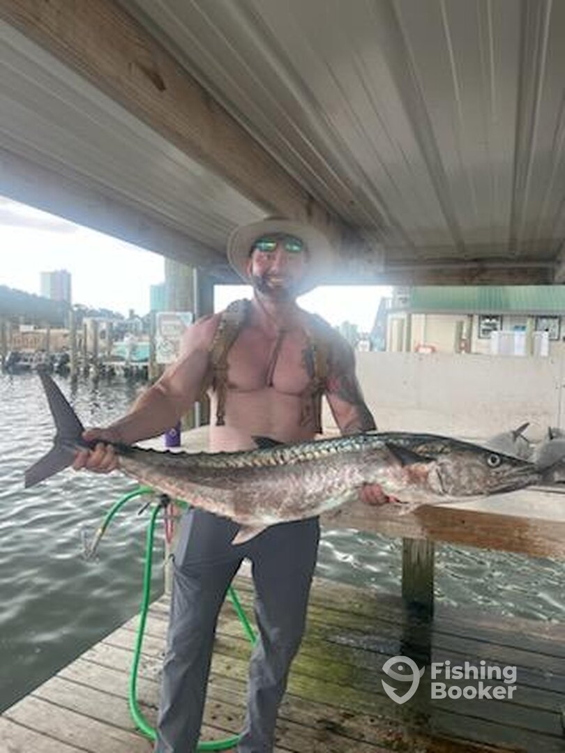 Orange Beach Report Photo 0