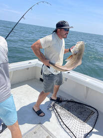 Virginia Beach Report Photo 2