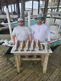 Grind, catch, repeat.....