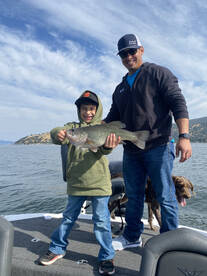 Topwater and Glide baits