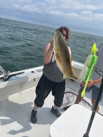 Virginia Beach Report Photo 1