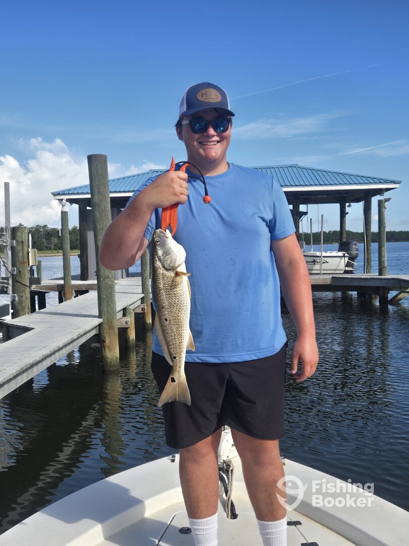 Orange Beach Report Photo 0