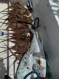 San Pedro Report Photo 1