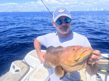 Nice Black Grouper