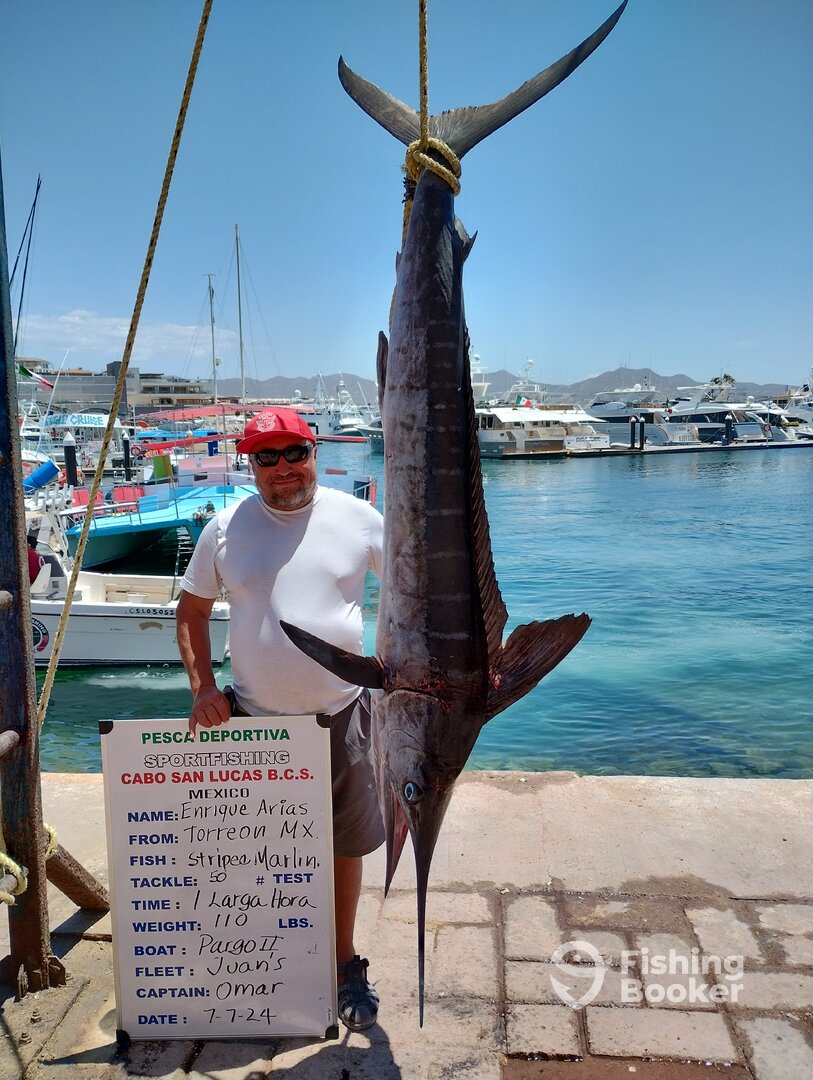 Cabo San Lucas Report Photo 0