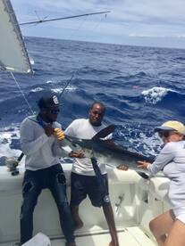 Punta Cana Report Photo 2