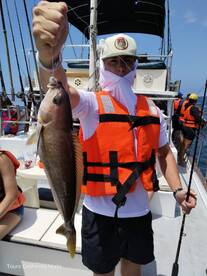 Ensenada Report Photo 2