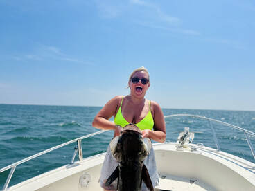 Big cobia