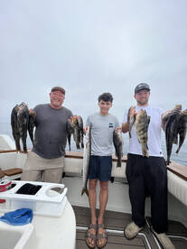 Epic local fishing going on now 