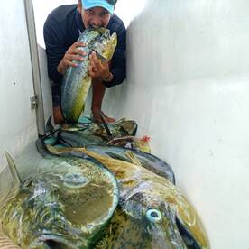Herradura Report Photo 2