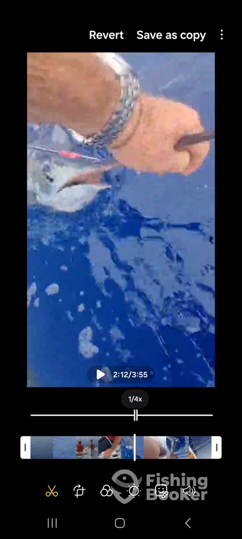 Calheta Report Photo 0