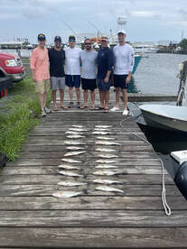 Wanchese Report Photo 2