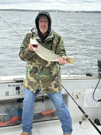 Oswego Report Photo 1