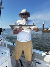 Maryland Striped Bass Season Tempoarary 