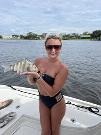 Crystal River Report Photo 1