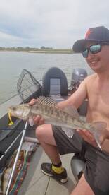 Heesselt Report Photo 4