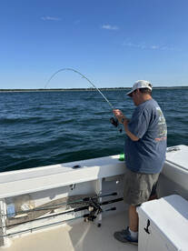 Falmouth Report Photo 2