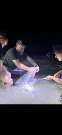 Destin Report Photo 2