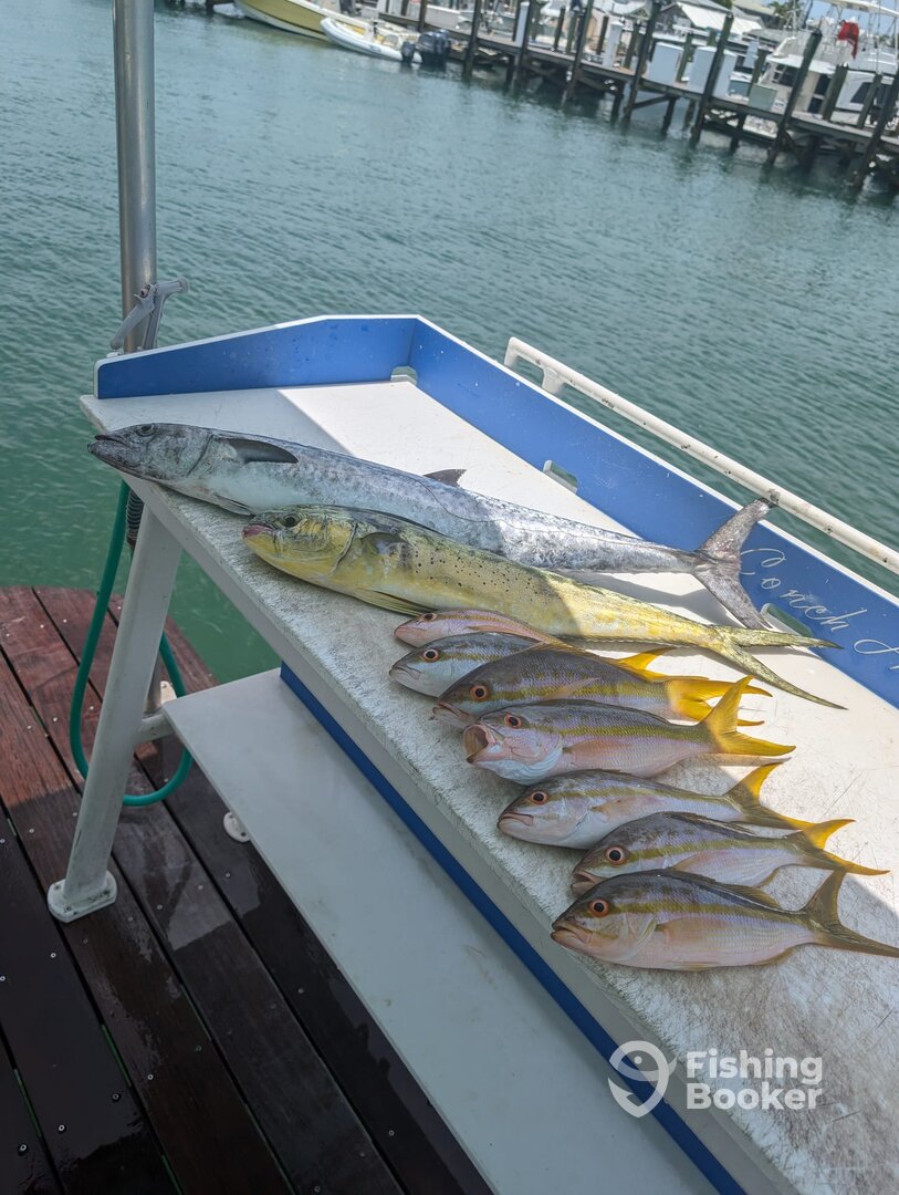 Key West Report Photo 0