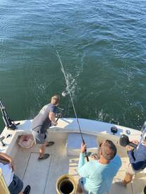 Mentor Report Photo 2