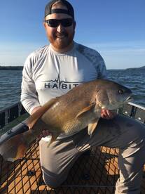The freshwater drum have been non stop a