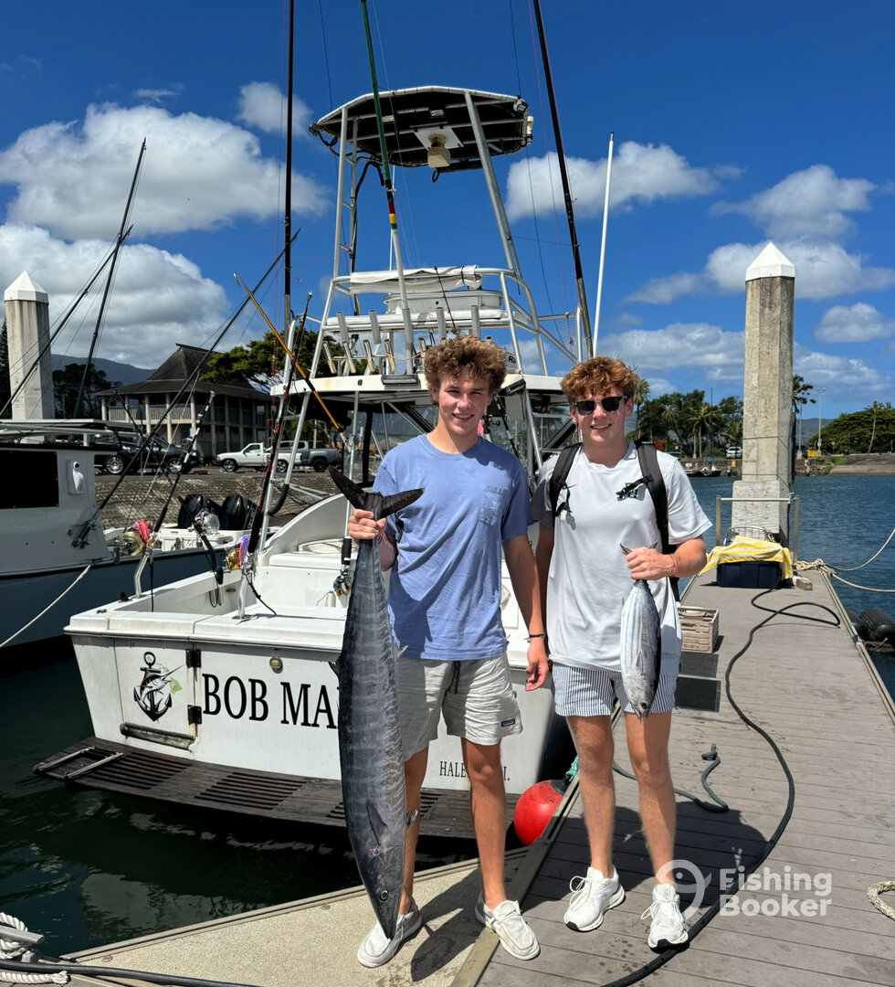 Haleiwa Report Photo 0