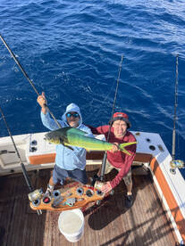 Mahi mahi 