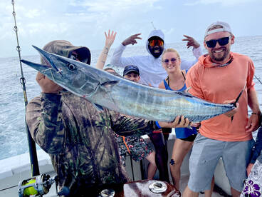 Wahoo are snapping!