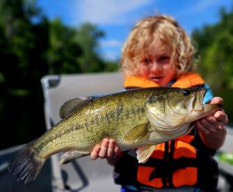 Smallmouth and largemouth are going stro