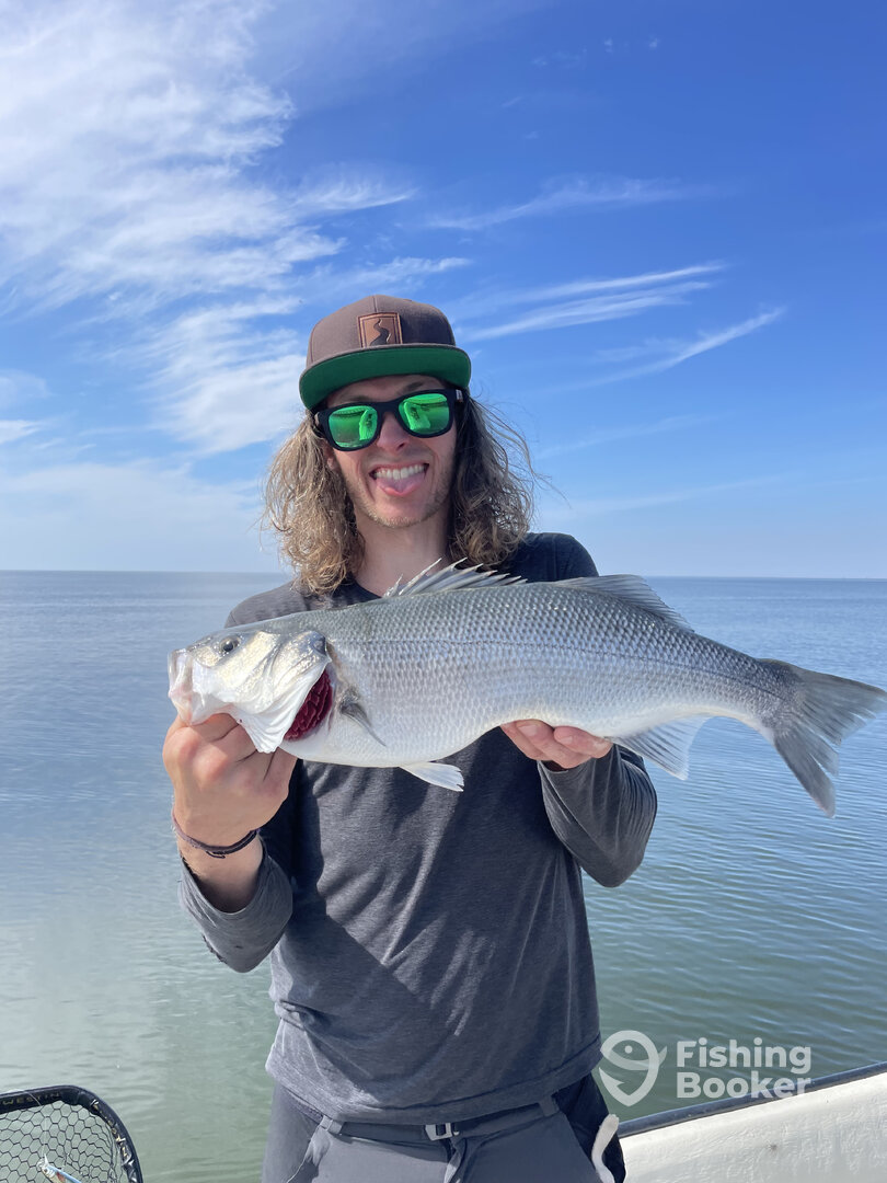 Amsterdam Report Photo 0