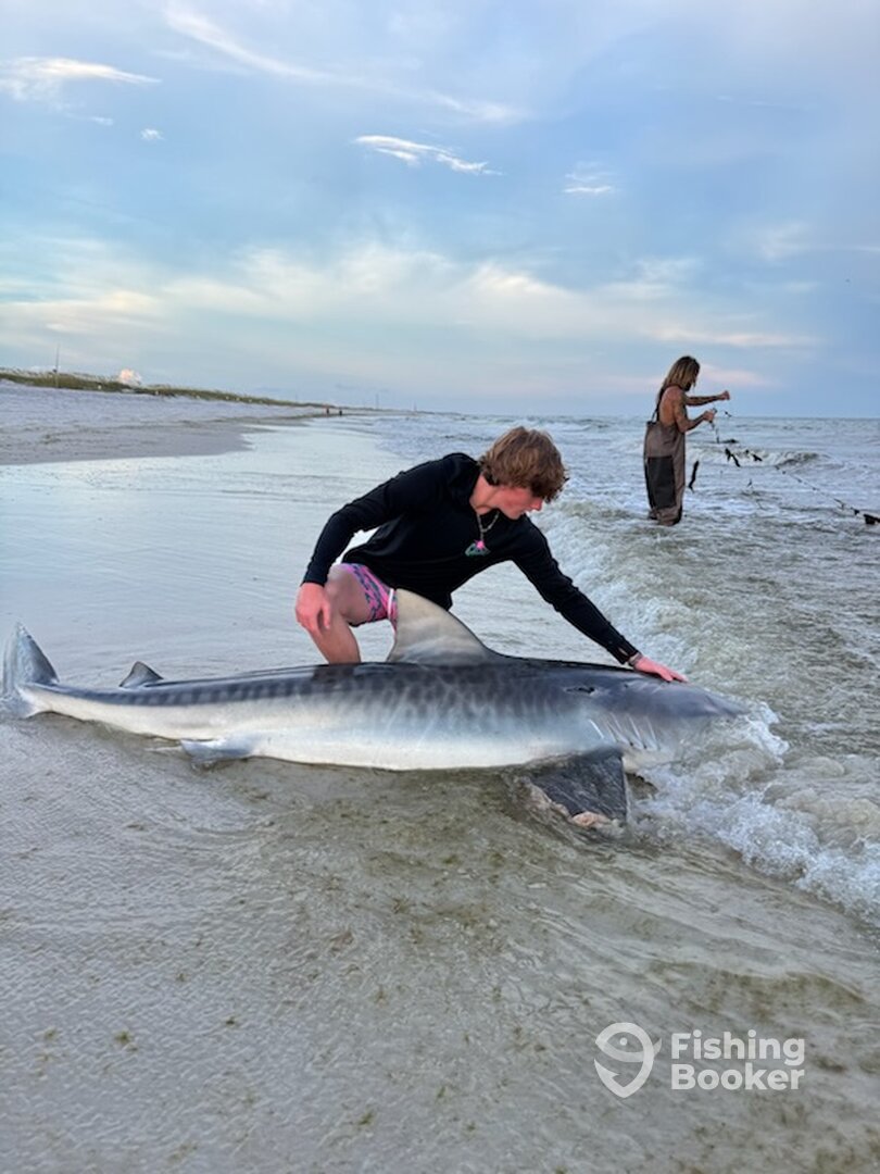 Destin Report Photo 0