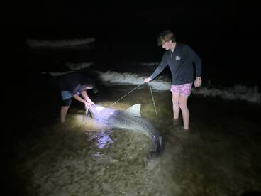 Destin Report Photo 1