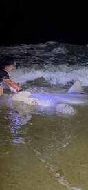 Destin Report Photo 2