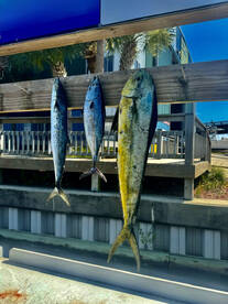 Destin Report Photo 1