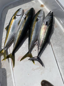 Pesca buena