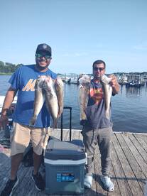 Mastic Report Photo 2