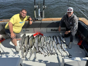 Amazing King Salmon action