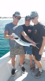 San Jose del Cabo Report Photo 2