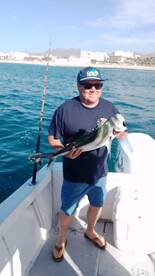 San Jose del Cabo Report Photo 1