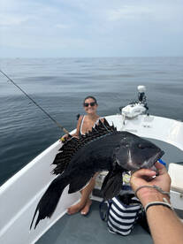 Brigantine Report Photo 1