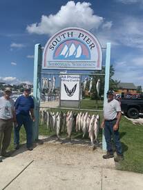 Mixed bag of Rainbows and Salmon
