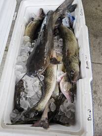 Lakeside Marblehead Report Photo 1