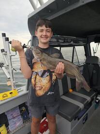 !!Wallaye Smashfest!!