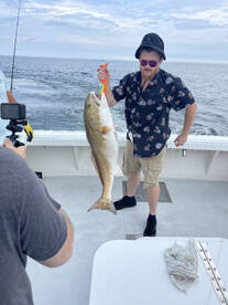 Virginia Beach Report Photo 1