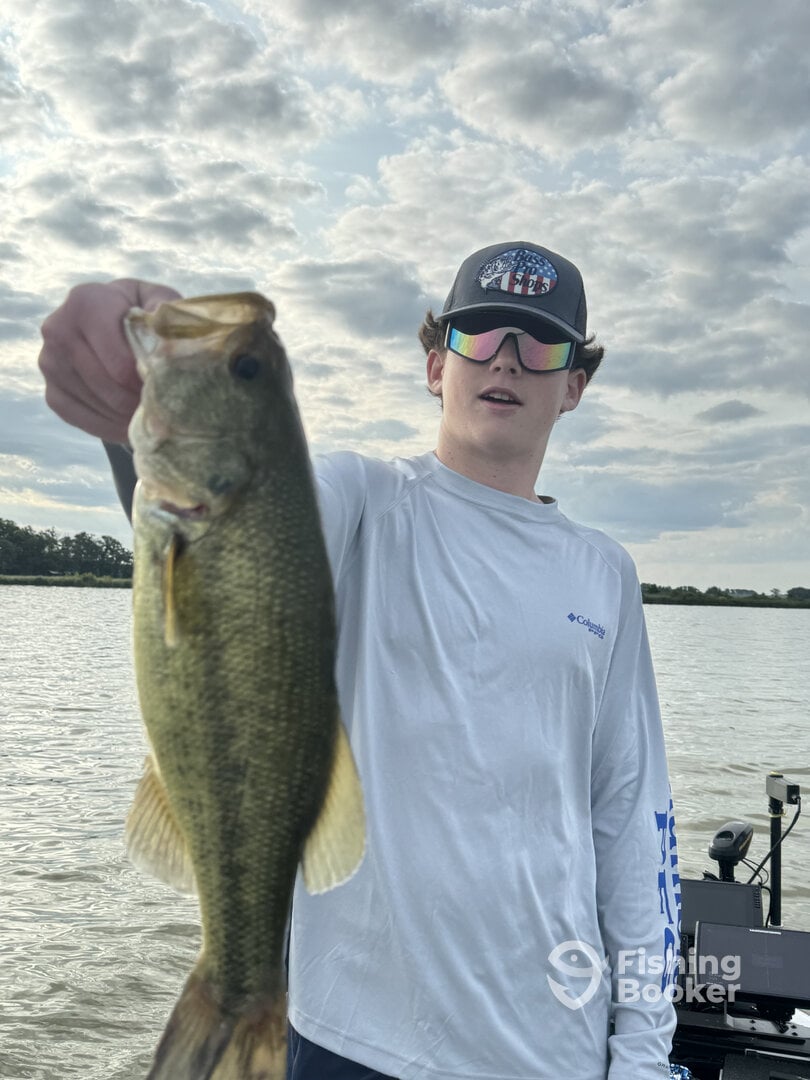 Fox Lake Report Photo 0