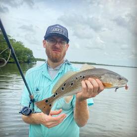 Palmetto Report Photo 1