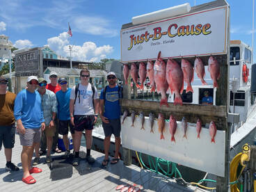 Nice red snapper and vermillion 